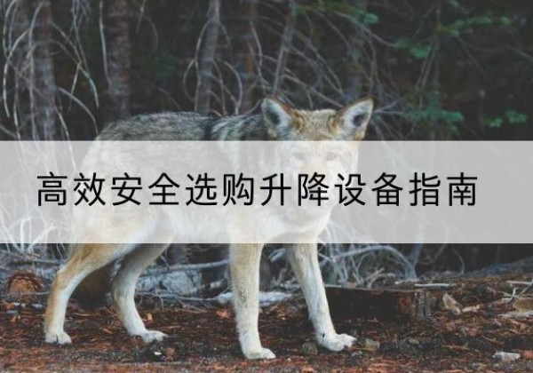 陆河升降货梯厂家推荐-*安全选购升降设备指南