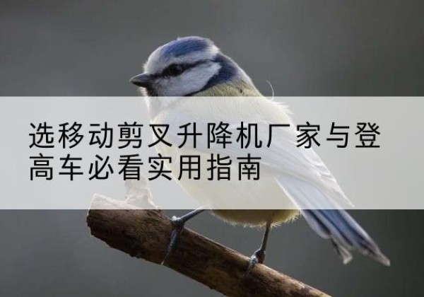 陆河电动升降机厂家-选移动剪叉升降机厂家与登高车必看实用指南