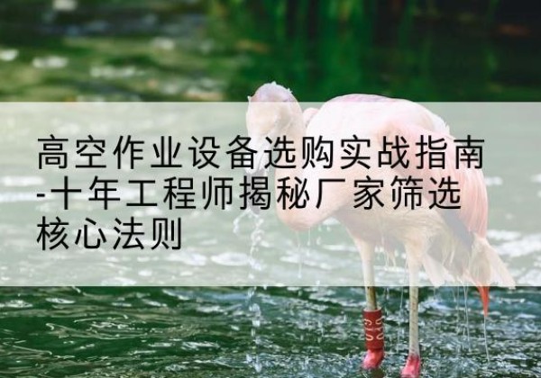 陆河剪叉式升降机厂家-高空作业设备选购实战指南-十年工程师揭秘厂家筛选核心法则